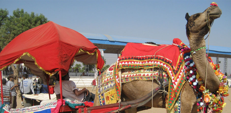 Rajasthan (Luxury)