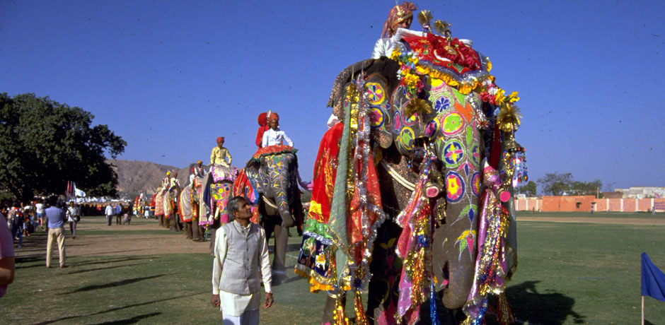 Colors of Rajasthan